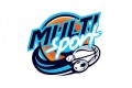 Realizacja programu Multisport
